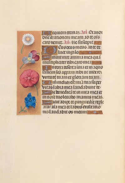Horas da rainha Isabel, a católica, rainha da Espanha: Fol. 249v, c. 1500. de Master of the First Prayerbook of Maximillian