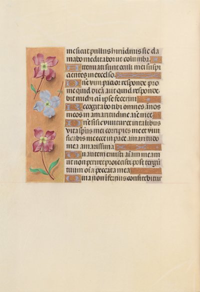 Horas da rainha Isabel, a católica, rainha da Espanha: Fol. 251v, c. 1500. de Master of the First Prayerbook of Maximillian
