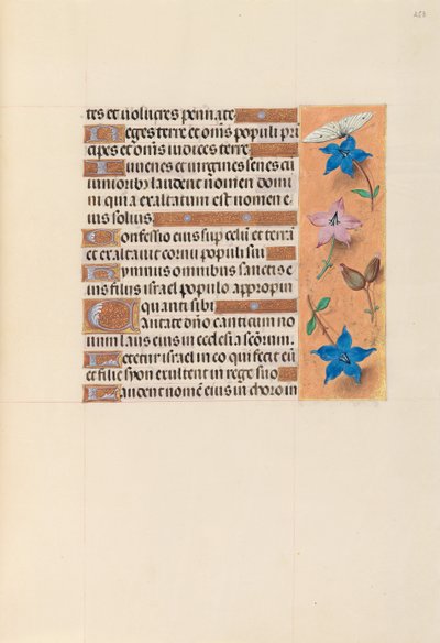 Horas da rainha Isabel, a católica, rainha da Espanha: Fol. 253r, c. 1500. de Master of the First Prayerbook of Maximillian