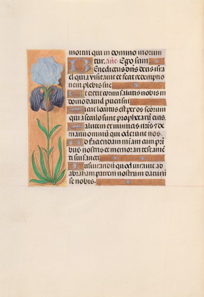 Horas da rainha Isabel, a católica, rainha da Espanha: Fol. 254v, c. 1500. de Master of the First Prayerbook of Maximillian