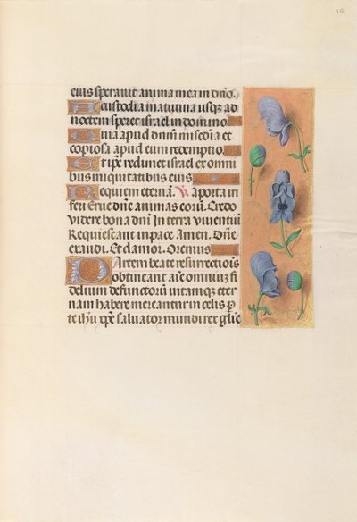Horas da rainha Isabel, a católica, rainha da Espanha: Fol. 256r, c. 1500. de Master of the First Prayerbook of Maximillian
