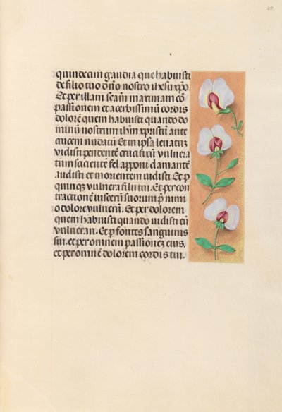Horas da rainha Isabel, a católica, rainha da Espanha: Fol. 259r, c. 1500. de Master of the First Prayerbook of Maximillian