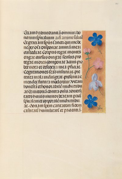 Horas da rainha Isabel, a católica, rainha da Espanha: Fol. 260r, c. 1500. de Master of the First Prayerbook of Maximillian