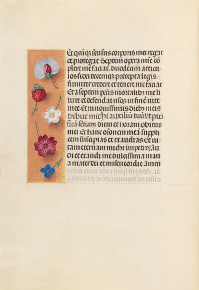 Horas da rainha Isabel, a católica, rainha da Espanha: Fol. 260v, Pieta, c. 1500. de Master of the First Prayerbook of Maximillian