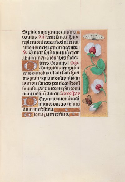 Horas da rainha Isabel, a católica, rainha da Espanha: Fol. 35r, c. 1500. de Master of the First Prayerbook of Maximillian