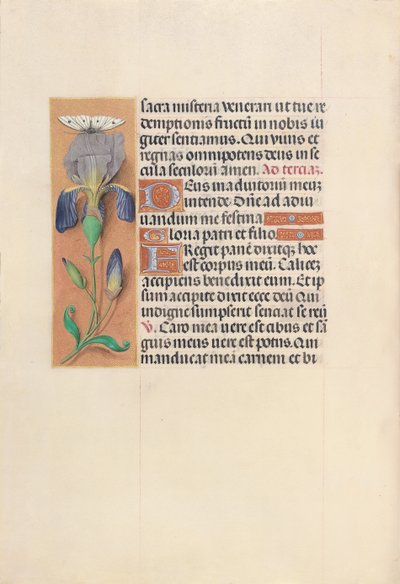 Horas da rainha Isabel, a católica, rainha da Espanha: Fol. 45v, c. 1500. de Master of the First Prayerbook of Maximillian