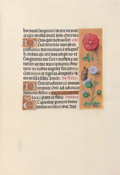 Horas da rainha Isabel, a Católica, rainha de Espanha:  Fol. 46r de Master of the First Prayerbook of Maximillian