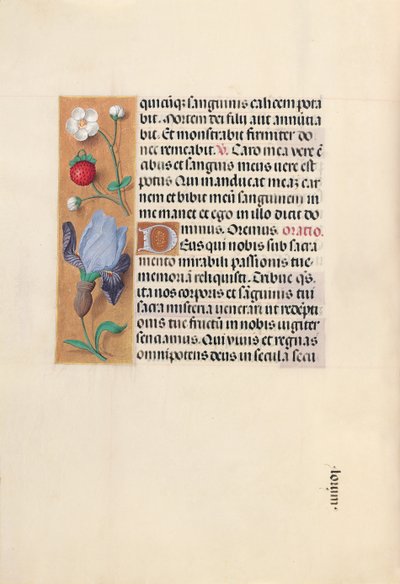 Horas da rainha Isabel, a católica, rainha da Espanha: Fol. 46v, c. 1500. de Master of the First Prayerbook of Maximillian