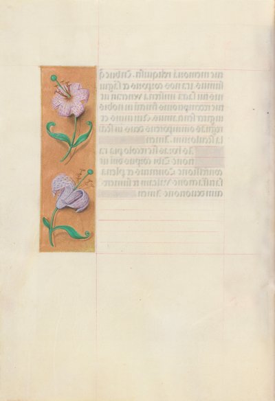 Horas da rainha Isabel, a católica, rainha da Espanha: Fol. 49v, c. 1500. de Master of the First Prayerbook of Maximillian