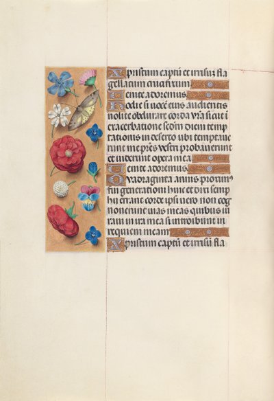 Horas da Rainha Isabel, a Católica, Rainha da Espanha: Fol. 51v, c. 1500. de Master of the First Prayerbook of Maximillian