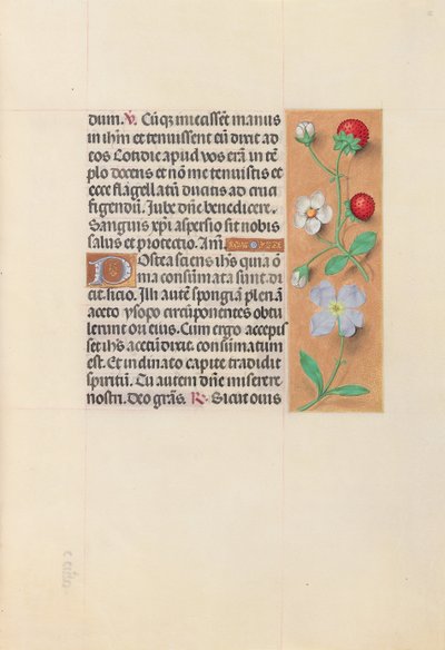 Horas da rainha Isabel, a católica, rainha da Espanha: Fol. 55r, c. 1500. de Master of the First Prayerbook of Maximillian