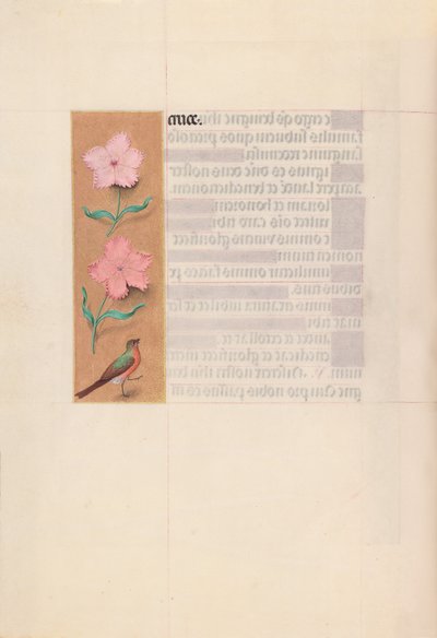 Horas da rainha Isabel, a Católica, rainha de Espanha:  Fol. 56v de Master of the First Prayerbook of Maximillian