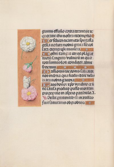 Horas da rainha Isabel, a católica, rainha da Espanha: Fol. 58v, c. 1500. de Master of the First Prayerbook of Maximillian