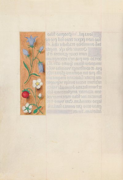 Horas da rainha Isabel, a católica, rainha da Espanha: Fol. 60v, c. 1500. de Master of the First Prayerbook of Maximillian