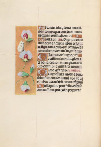 Horas da rainha Isabel, a católica, rainha da Espanha: Fol. 74v, c. 1500. de Master of the First Prayerbook of Maximillian