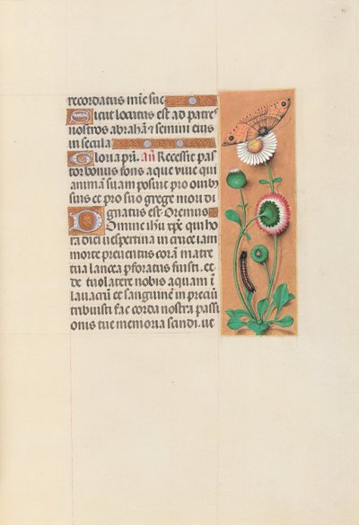 Horas da rainha Isabel, a católica, rainha da Espanha: Fol. 76r, c. 1500. de Master of the First Prayerbook of Maximillian