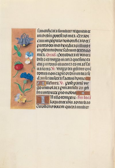 Horas da rainha Isabel, a católica, rainha da Espanha: Fol. 90v, c. 1500. de Master of the First Prayerbook of Maximillian