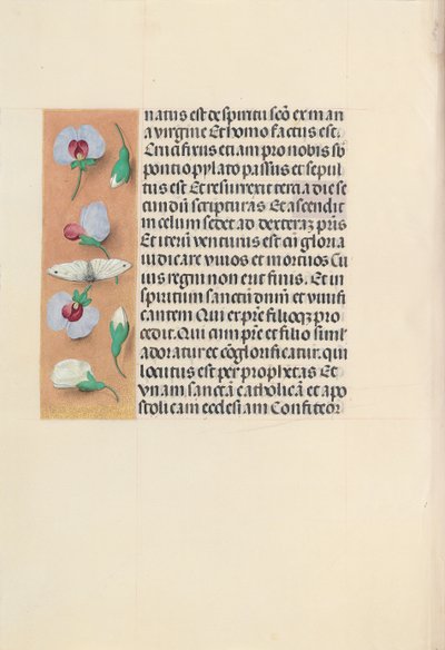 Horas da rainha Isabel, a católica, rainha da Espanha: Fol. 91v, c. 1500. de Master of the First Prayerbook of Maximillian