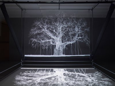 Albion, 2017 (Projetor, leitor multimédia, andaime, película transparente, madeira, tinta, espelho, acessórios de alongamento) de Mat Collishaw