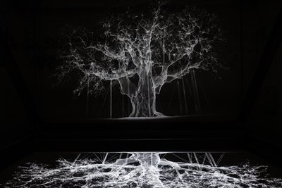 Albion, 2017 (Projetor, leitor multimédia, andaime, película transparente, madeira, tinta, espelho, acessórios de alongamento) de Mat Collishaw