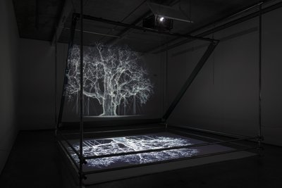 Albion, 2017 (Projetor, leitor multimédia, andaime, película transparente, madeira, tinta, espelho, acessórios de alongamento) de Mat Collishaw