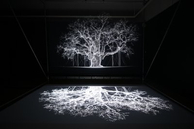 Albion, na exposição "Petrichor" de Mat Collishaw em Kew Gardens, Londres, 2023 (foto) de Mat Collishaw