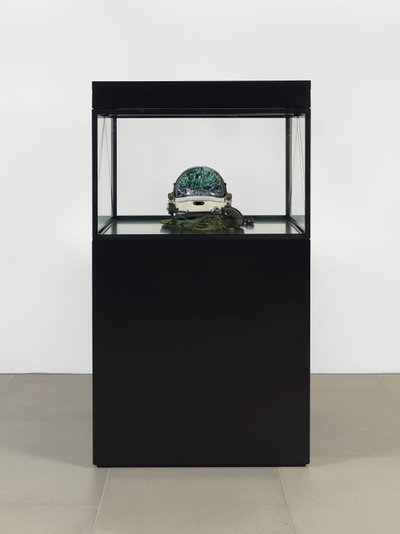 Alpha Omega, 2016 (Vidro, ecrã LCD, leitor multimédia, réplica de crânio, capacete espacial, madeira) de Mat Collishaw