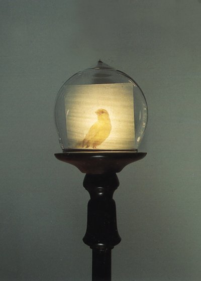 Antiguidade de Mat Collishaw