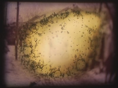 Barbarossa, 2002 (projetor de vídeo e projetor de diapositivos simulado) de Mat Collishaw