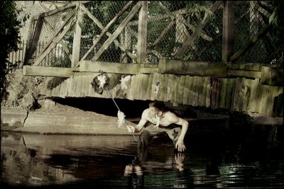 Apanhar fadas 1 de Mat Collishaw