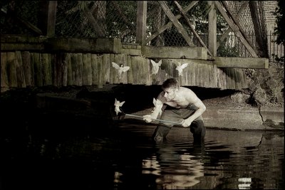 Apanhar fadas 4 de Mat Collishaw