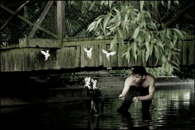 Apanhar fadas 6 de Mat Collishaw