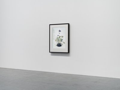 Columbine, 2018 (moldura de madeira, rebordo, ecrã LCD, ventoinha e leitor multimédia) de Mat Collishaw