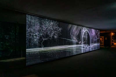 Echolocation, 2021 (projeção vídeo de 3 canais sobre malha de polipropileno) de Mat Collishaw