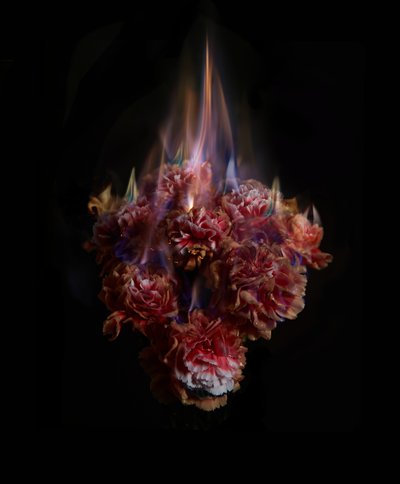 Fading Memories of the Sun, 2013 (fotografia tipo C) de Mat Collishaw