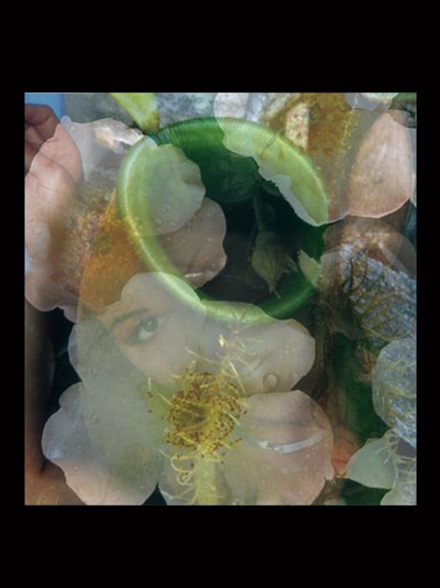 Flesheaters 2 de Mat Collishaw