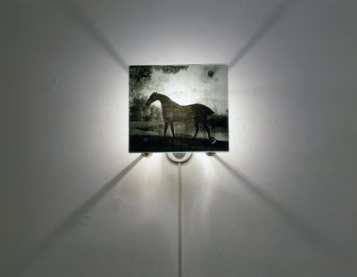 Cavalos Stubbs de Mat Collishaw