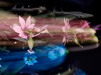 The Centrifugal Soul, 2016 (Acrílico, alumínio, aço, luzes LED, motor, circuito eletrónico, resina e tinta) de Mat Collishaw
