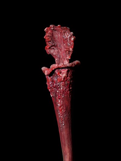 The Venal Muse, Fenside, 2012 (Resina, tinta de esmalte, madeira, vidro, aço) de Mat Collishaw