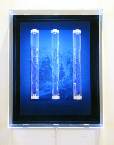 UV Garden, Fairy, Sunbath, Elves, Etc., 2008 (Serigrafia sobre acrílico, luz UV e luminárias) de Mat Collishaw