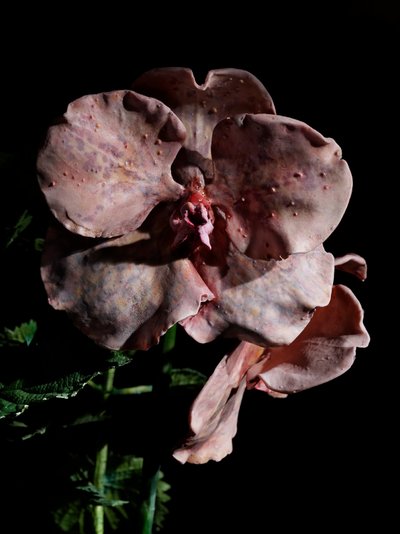 Musa Venal, Impetus, 2012 (Resina, tinta de esmalte, madeira, vidro, aço) de Mat Collishaw