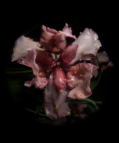 Musa Venal, Viridor, 2012 (Resina, tinta de esmalte, madeira, vidro, aço) de Mat Collishaw