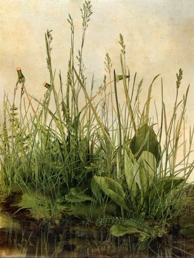 Whispering Weeds, 2011 (Moldura de madeira, rebordo, ecrã LCD, ventoinha e disco rígido) de Mat Collishaw