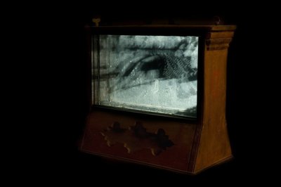 Wormery, 2009 (Madeira, vidro, aço, projetor e leitor) de Mat Collishaw