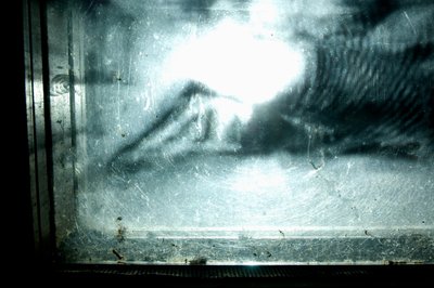 Wormery, 2009 (Madeira, vidro, aço, projetor e leitor) de Mat Collishaw