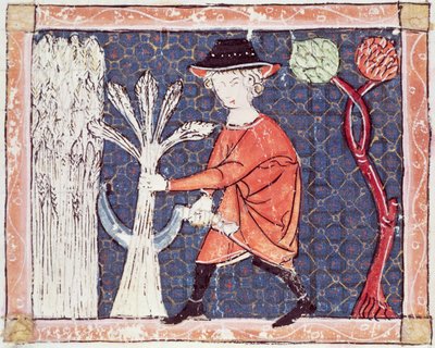 Fol.58v julho: a colheita de Matfre Ermengaut