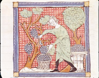Fol.59 de setembro: a colheita de Matfre Ermengaut