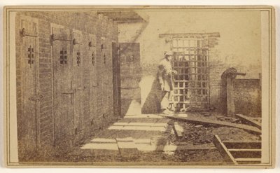 [Jaulas onde eram mantidas pessoas escravizadas] de Mathew B. Brady