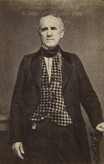 Sam Houston, c.1860-65 (albumen silver print) de Mathew B. Brady