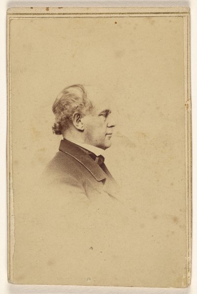 [Homem não identificado de perfil, impresso em estilo de vinheta] de Mathew B. Brady